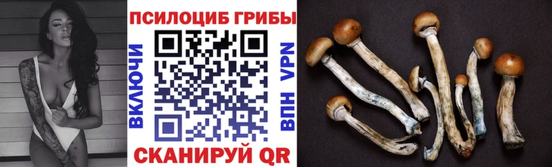 МЕГА ONION  Вязьма  Псилоцибиновые грибы Magic Shrooms  наркота 